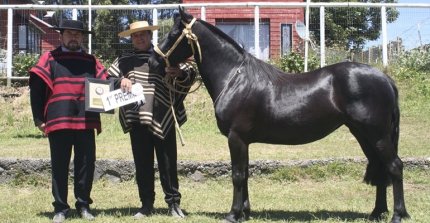 Los premiados por categoría de la Expo Ancud-Chiloé 2025