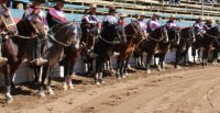 Venta de entradas para la Final de Rodeo para Criadores