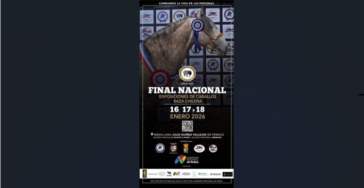 Organizadores de las Finales de Pemuco avanzan fuertemente en la preparación del recinto