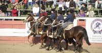 Tres Escuadras Ecuestres serán parte del programa de la Final de Morfología y Funcionalidad