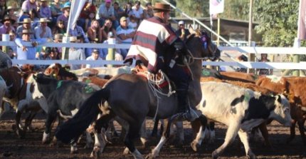 Los inscritos para la Final Nacional de Aparta de Ganado