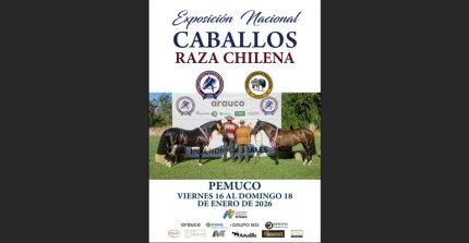 Los datos imperdibles de la Expo Nacional y Final de Pruebas Funcionales 2026