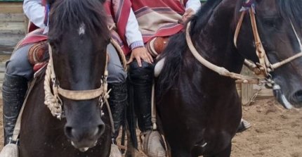 Club Rancagua tiene preparado un magnífico rodeo de iniciación