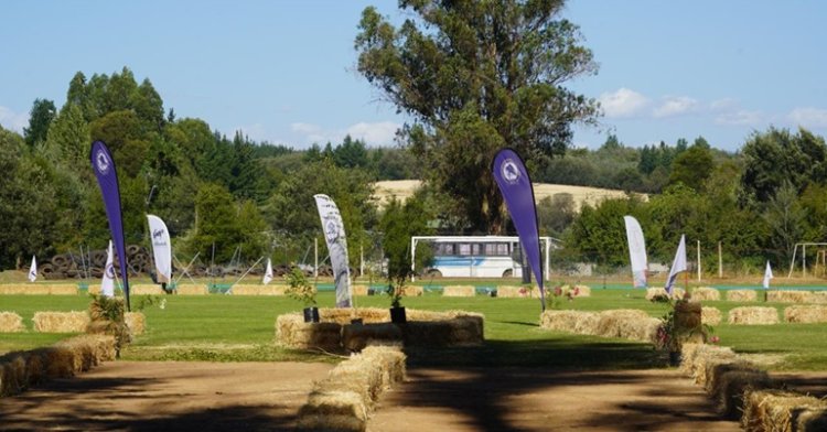 Pemuco abre sus puertas: Todo preparado para la Final Nacional de Morfología y Funcionalidad