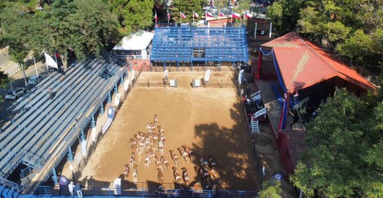 [STREAMING] Sigue las Finales de Pemuco por C y G TV