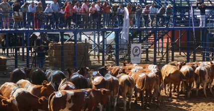 Los resultados de la Final Nacional de Pruebas Funcionales Pemuco 2026