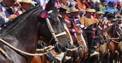 Listado de inscritos para la Final de Rodeo Para Criadores 2026 de Cauquenes