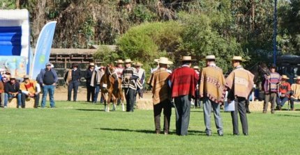 Los resultados de la jura de las categorías de la Expo Nacional