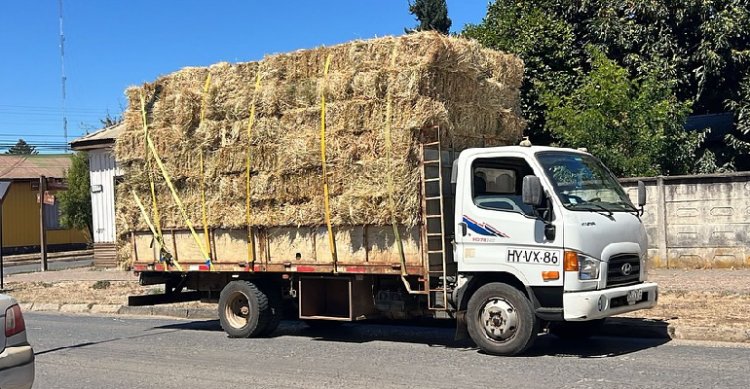 Federación del Rodeo Chileno y Municipios Rurales envían ayuda por incendios en Biobío y Ñuble