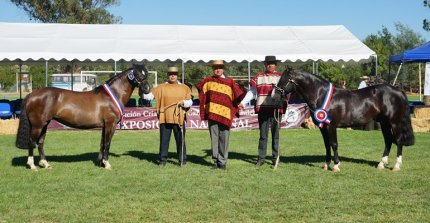 Favorita y Delegado superaron dura competencia y volvieron a reinar en la Exposición Nacional