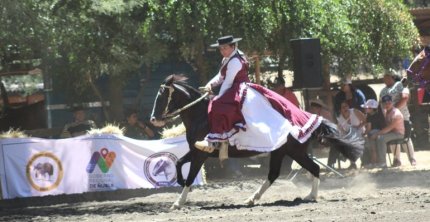 El Estribo de Yumbel se lució con su espectáculo en Pemuco
