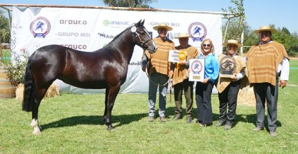 Arturo Ríos y el éxito de Carimallín en la Expo Nacional: "Es una nueva faceta del criadero y estamos felices"