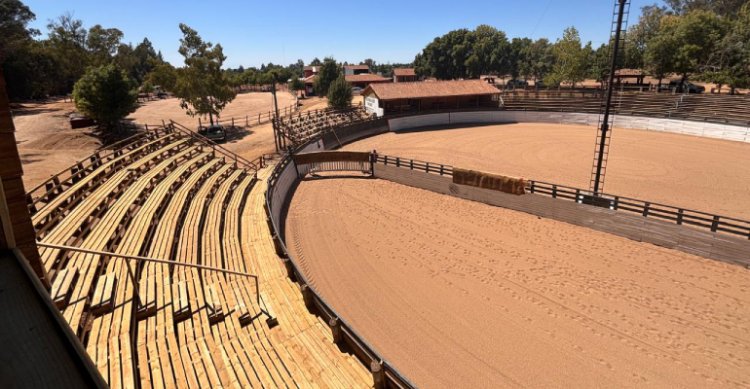 Cauquenes recibe la emoción de la XXI Final Nacional de Rodeos Para Criadores
