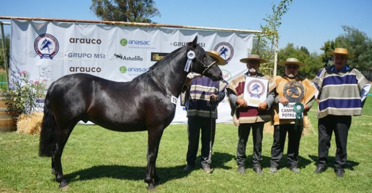 Gran alegría tuvo el Criadero Magdalena de los Confines en su paso por la Exposición Nacional 2026