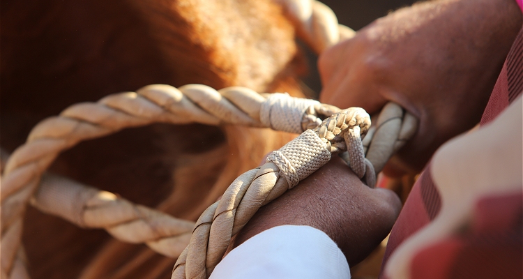 Clasificatorios 2026: ¿Cuándo se correrán y quién transmitirá?