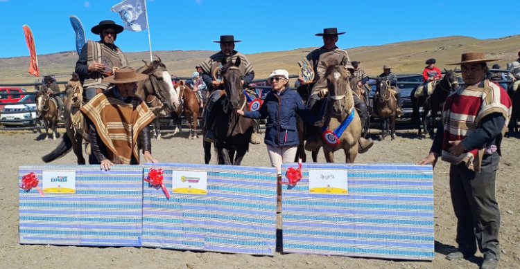 La Receta y Los Taitas se coronaron campeones en la Aparta de Ganado en Torres del Paine