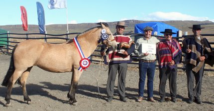 Goyko Pavlovic: "La Leonera representa el origen y la convicción de lo que criamos en Cordón Arauco”