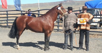 Los Grandes Premios de la Expo Ultima Esperanza 2026