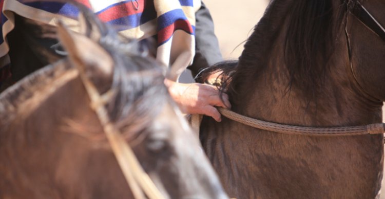 Acreditaciones de prensa para el Clasificatorio Sur de Los Angeles