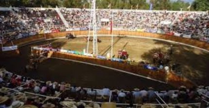 Club Chillán realizará un Interasociaciones para esta última fecha de la Temporada Grande