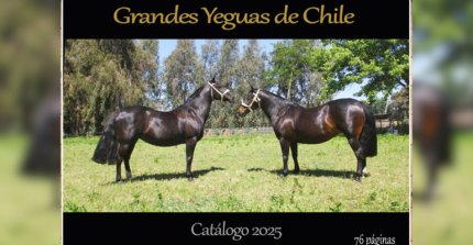 Catálogo "Grandes Yeguas de Chile 2025" se encuentra a la venta