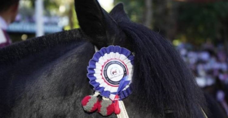 Clasificatorios 2026: Cómo se corren y cuántos cupos están en juego para Rancagua