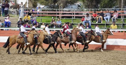 Se suspendió Fiesta Internacional del Caballo y la Charrería en Jalisco