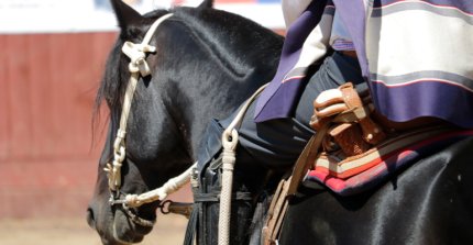 Desde el extremo norte: Asociación Arica y Tarapacá ya tiene a su representante directo a Rancagua