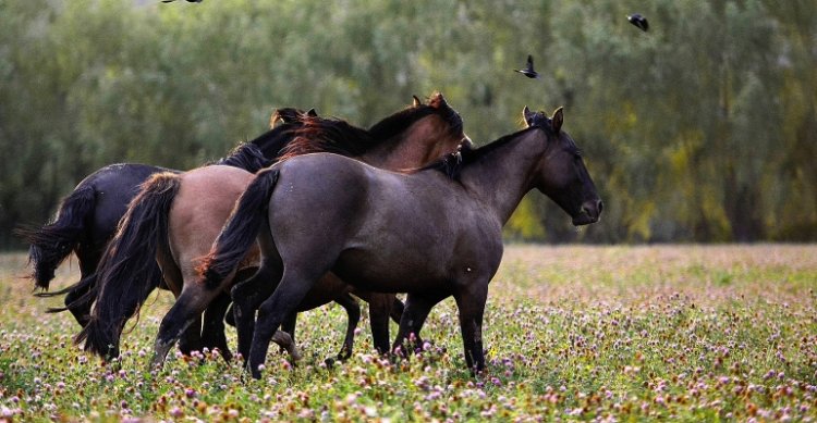 2do Concurso literario