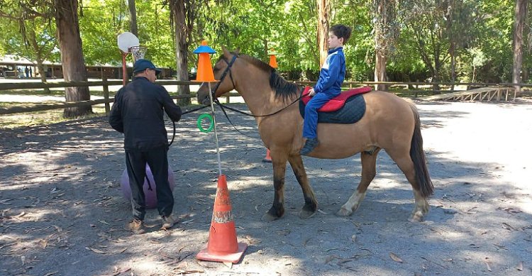 San Clemente trabaja fuerte en inclusión: El ambicioso plan para duplicar la cobertura de equinoterapia en la comuna