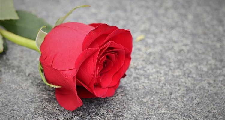 Condolencias para Mauricio Acevedo y su familia