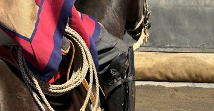 "Fue un tremendo evento": Ariel Clavel hizo positivo balance en Melipilla