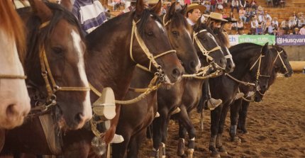 Ferochi entregó lista de delegados y jurados que trabajarán en el 77° Campeonato Nacional