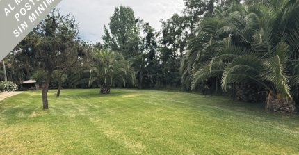 Criadero San José de Logroño sale a martillo con variada caballada