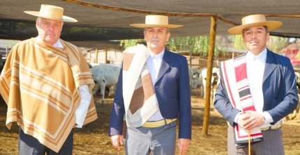 Federación del Rodeo Chileno realizó el loteo del ganado de la Serie de Campeones