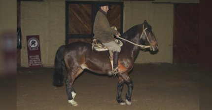 Este fin de semana será la Clínica de Rienda Sin Fronteras de Rodrigo Castell y Luis Bustos Venegas
