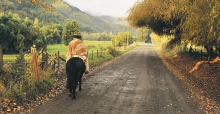 Criadero Agua de Los Campos y Maquena sale a remate con una interesante selección de caballos