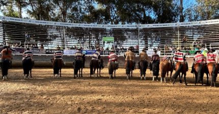 El 38° Nacional Universitario llena de emoción las quinchas de la Medialuna de Curicó