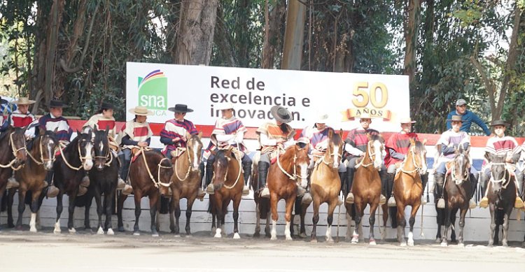 El 50° aniversario de SNA Educa marcó la inauguración de su XVI Campeonato Nacional de Rodeo