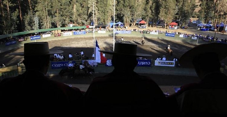 La Medialuna de Valdivia de Paine se viste de gala para Interasociaciones de Maipo