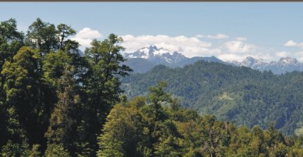 Criaderos San Miguel y Don Horacio, Peñas Verdes, Santa Ana de Pile y Curamavida salen a remate