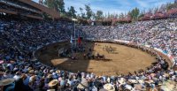 Barómetro: Ferochi puso en marcha la 3ª versión de la encuesta sobre el Campeonato Nacional de Rodeo