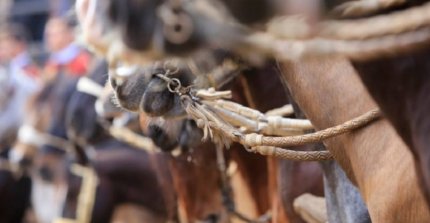 [PREVIA] La cuenta regresiva para la Final Nacional de Rodeo Femenino