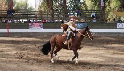 El Movimiento a la Rienda del XIV Campeonato Nacional de Rodeo Femenino