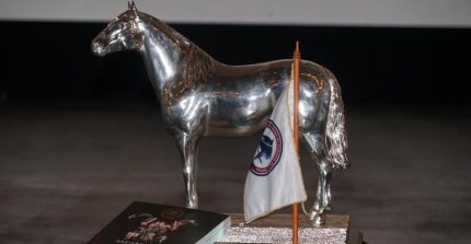 Presidentes de asociaciones destacaron el interés por avanzar y trabajar por el Caballo Chileno