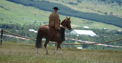 Criadores y corraleros de Aysén realizarán histórica premiación en conjunto