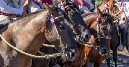 La Medialuna de Ovalle recibe un atractiva fiesta huasa de Limarí